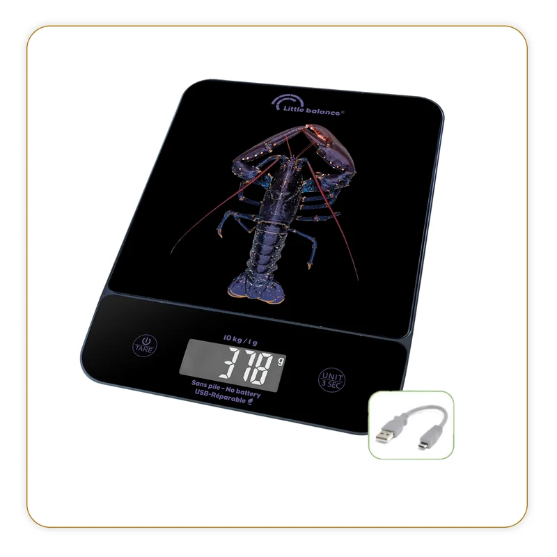 Balance de cuisine, Happy Genius 10 Blue Homard USB, Sans pile