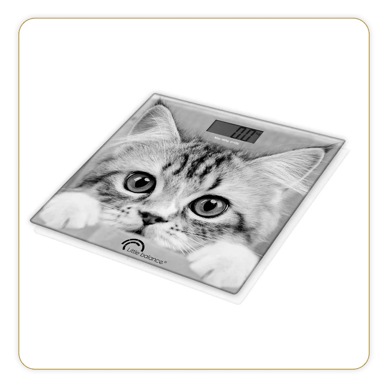 Pèse-personne, The Cat