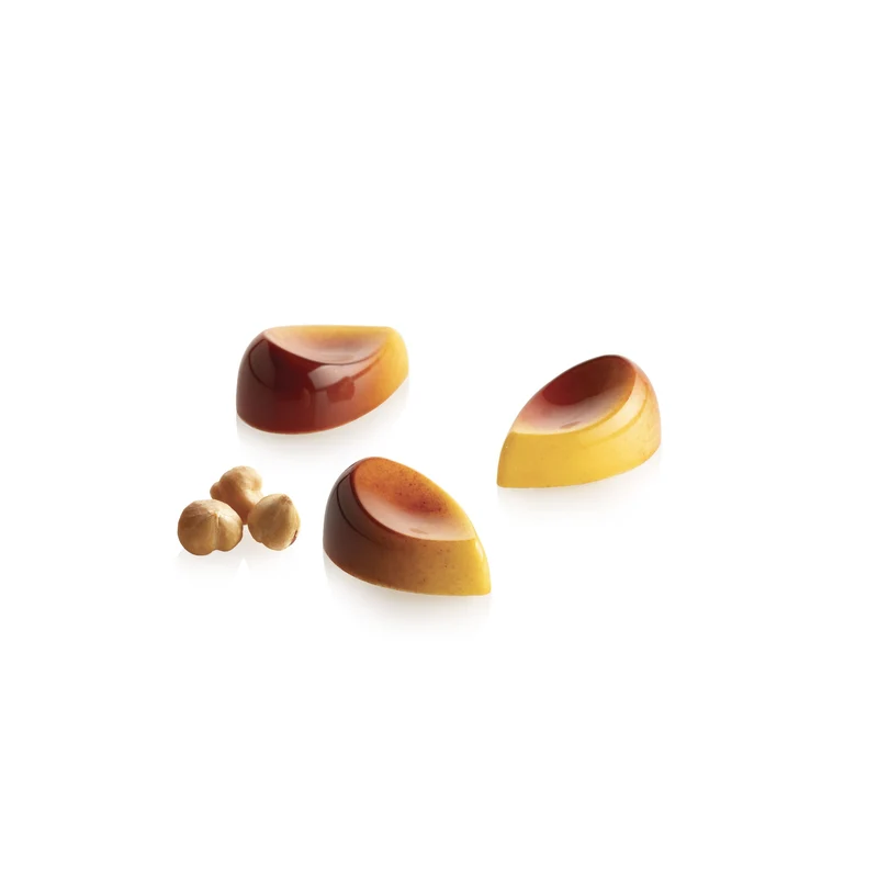 Moule pour chocolat Aurora P