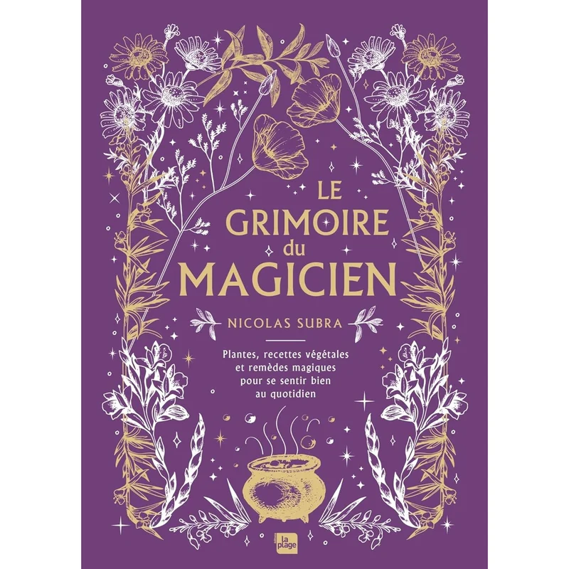Le grimoire du magicien