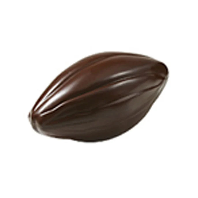 Moule pour chocolat en polycarbonate #B5 - Cabosse