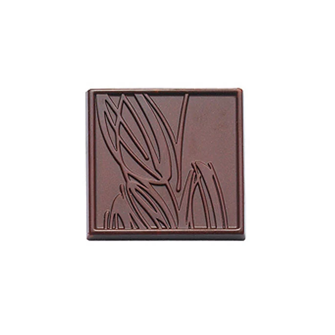 Moule pour chocolat en polycarbonate - Carrés Dégustation #R6