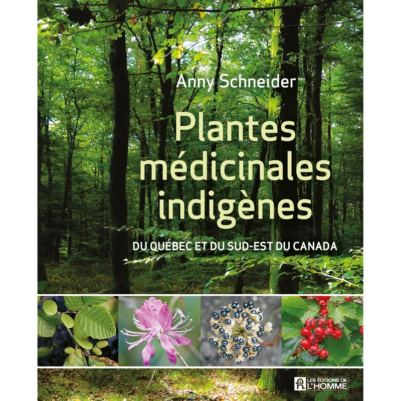 Plantes médicinales indigènes !