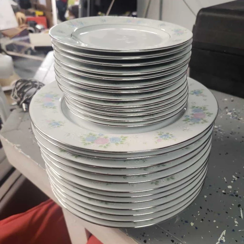 23 Piece China Garden Dinner Plates