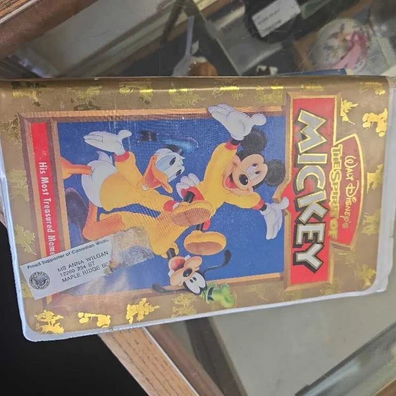 The Spirit Of Mickey