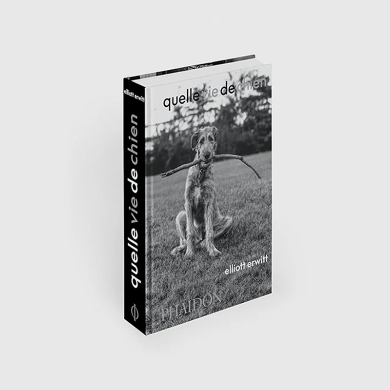 Phaidon | Quelle vie de chien (in French)